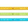 Plastic 12 inch Assorted Color Ruler