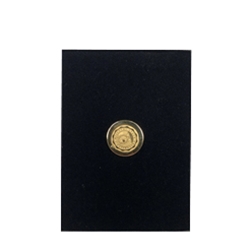 Missouri State University Seal Gold Lapel Pin