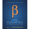 USING ECONOMETRICS