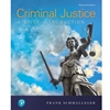 CRIMINAL JUSTICE: BRIEF INTRO