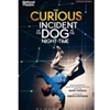 CURIOUS INCIDENT OF THE DOG IN THE NIGHT TIME