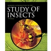 *OLD ED* INTRO TO THE STUDY OF INSECTS