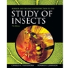 INTRO TO STUDY OF INSECTS