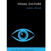 VISUAL CULTURE