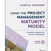 USING THE PROJECT MGT MATURITY MODEL