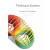 THINKING IN SYSTEMS