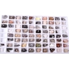 GRY 240 ROCK & MINERAL COLLECTION 50 PC KIT #1250