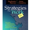 STRATEGIES THAT WORK