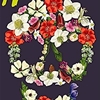HEX