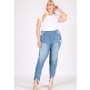 Plus Size Mid Rise Distressed Jeans