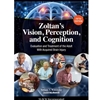 ZOLTANS VISION PERCEPTION COGNITION
