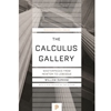 *CALCULUS GALLERY *OLD ED*