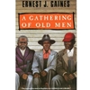 GATHERING OF OLD MEN