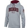Champion Bears Hoodie