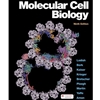 STREAMLINED ANE 604/BIO 320 MOLECULAR CELL BIOLOGY EBOOK