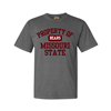 Original BearWear Property of Missouri State Bears C USA Gray Tee