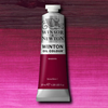 Winton Oil Colour Magenta Paint