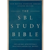 STREAMLINED REL 102 SBL STUDY BIBLE EBOOK
