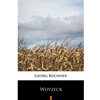 STREAMLINED THE 130 WOYZECK DIGITAL PLAY