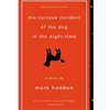 CURIOUS INCIDENT OF THE DOG IN THE NIGHT-TIME