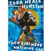 STREAMLINED COM 796 THEIR EYES WERE WATCHING GOD EBOOK
