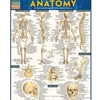 QUICKSTUDY*ANATOMY