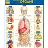 QUICKSTUDY*ANATOMY OF THE ORGANS