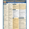 QUICKSTUDY*ANATOMY TERMINOLOGY