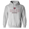 CI Sport Bear Head Bears Missouri State University Gray Hoodie