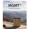 STREAMLINED MGT 340 MGMT: PRINCIPLES OF MANAGEMENT EBOOK