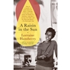 RAISIN IN THE SUN (PLAY)