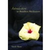 INTRO TO BUDDHIST MEDITATION