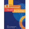HDBK OF OCCUPATIONAL HEALTH PSYCHOLOGY *OLD EDITION