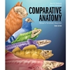 COMPARATIVE ANATOMY -LL