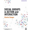 SOCIAL GROUPS IN ACTION AND INTERACTION