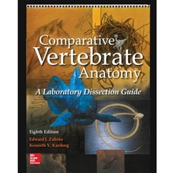 COMPARATIVE VERTEBRATED ANATOMY LAB