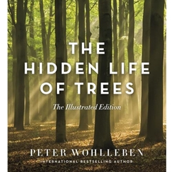 THE HIDDEN LIFE OF TREES