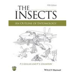 THE INSECTS