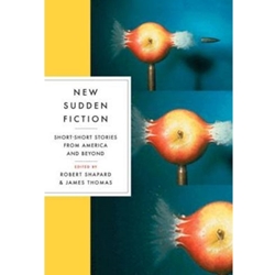 NEW SUDDEN FICTION