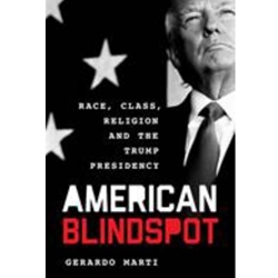 AMERICAN BLINDSPOT