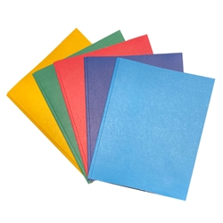 Assorted Color Folder with Prongs and Pockets