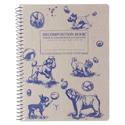 Decomposition Spiral Varied Scenes Notebooks