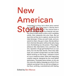 NEW AMERICAN STORIES