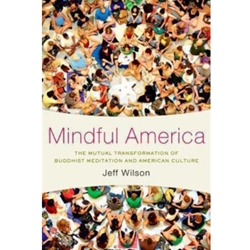 MINDFUL AMERICA