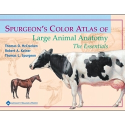 SPURGEONS COLOR ATLAS OF LARGE ANIMAL