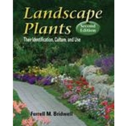 LANDSCAPE PLANTS