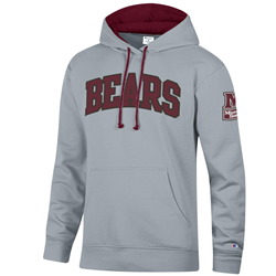 Champion Bears Hoodie
