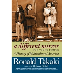 STREAMLINED ELE 438/714 A DIFFERENT MIRROR FOR YOUNG PEOPLE EBOOK