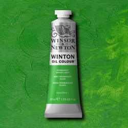 Winton Oil Colour Permanent Green Light Paint