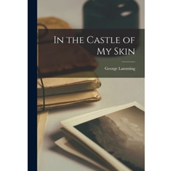 IN THE CASTLE OF MY SKIN